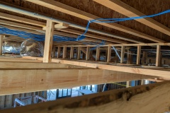 PXL_20250418_202648861.RAW-01.COVER_